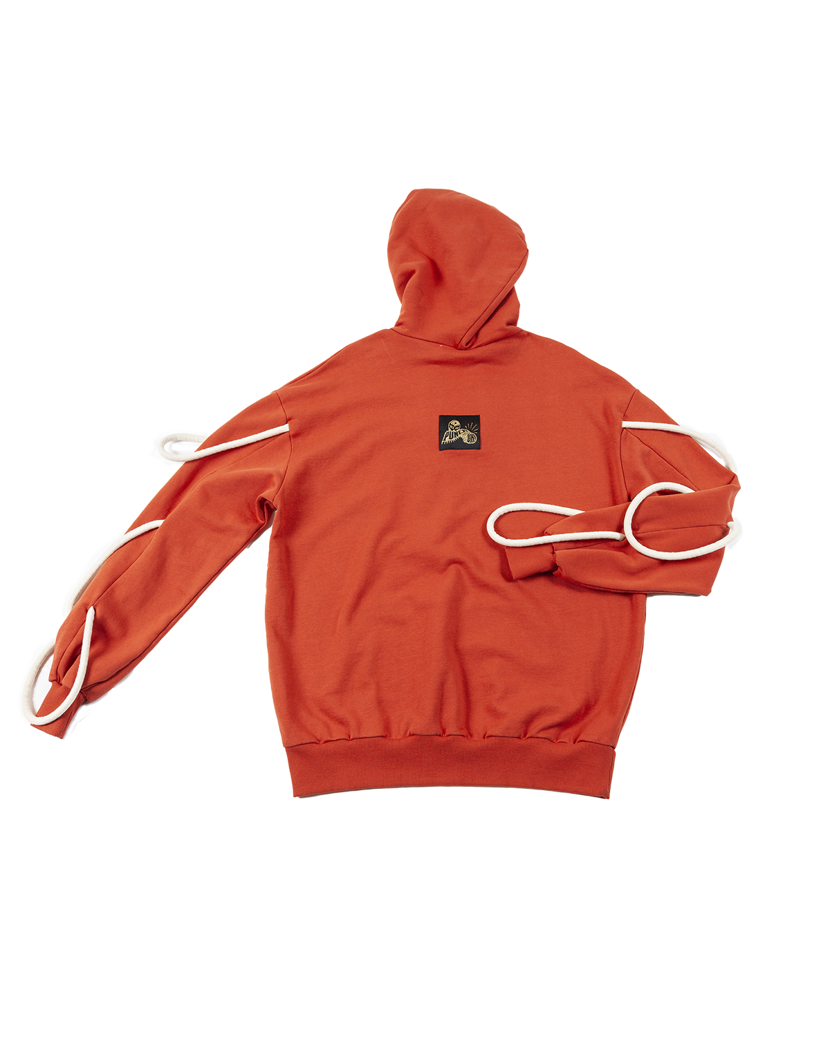 ARENA HOODIE BRICK
